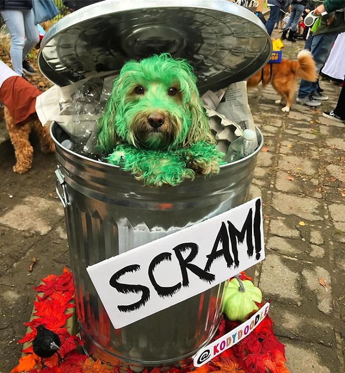 A Guide To NYC's Very Good Dog Halloween Parades