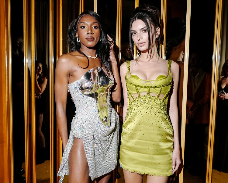 The Most Star-Studded Met Gala After Party Was Hosted by Stella