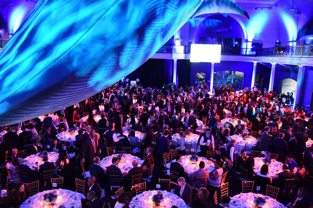 Inside The SEO 2017 Annual Awards Dinner - Guestofaguest.com (blog)