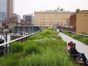 The High Line Gets A Perfume The High Line Gets A Perfume