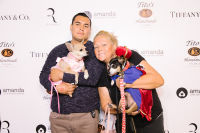 Bow Wow Beverly Hills Presents 'Hound Dog' Benefiting the Amanda Foundation #63