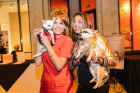 Bow Wow Beverly Hills Presents 'Hound Dog' Benefiting the Amanda Foundation #200