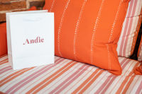 Guest of a Guest's Andie Swim Shopping Party In Sag Harbor #11