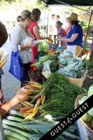 “Shop the Nutrition Rainbow” Tour at Sag Harbor Farmers’ Market #40