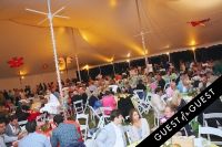 East End Hospice Summer Gala: Soaring Into Summer #7
