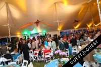 East End Hospice Summer Gala: Soaring Into Summer #30