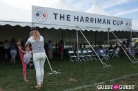The 29th Annual Harriman Cup #266