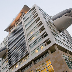 The Discovery Channel Building Gets Ready For Shark Week With Giant, Inflatable Shark