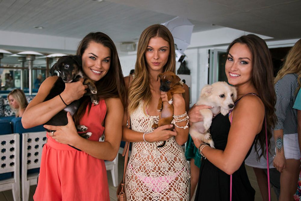 GofG L.A. Is Hiring Event Photographers!