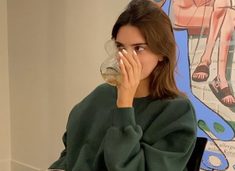 Here S Why Kendall Jenner S New Tequila Brand Is Getting Dragged By Industry Pros