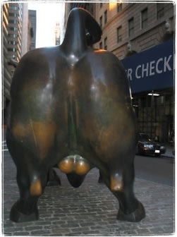 bull’s butt