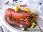 sag harbor lobster