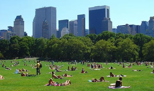 Where To Sunbathe In New York!