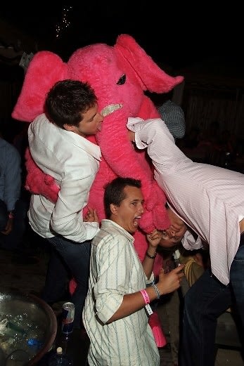 Mr. Pink Elephant