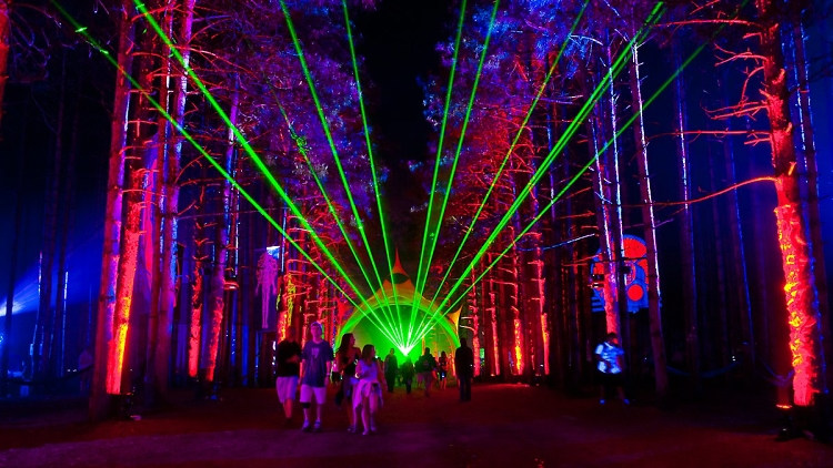 Electric Forest