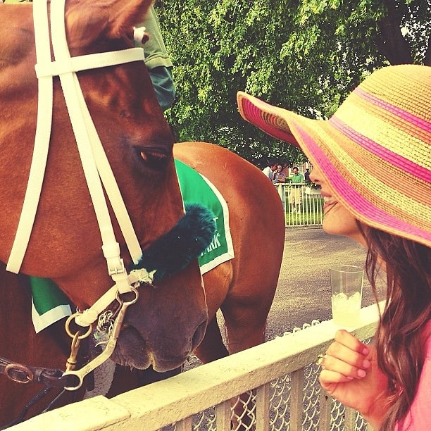 Belmont Stakes 2013