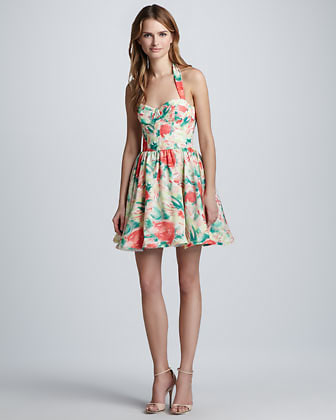 Alice + Olivia Fleur Printed Bustier Dress