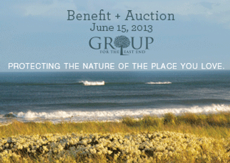 Dive Into Summer To Benefit Group for the East End 