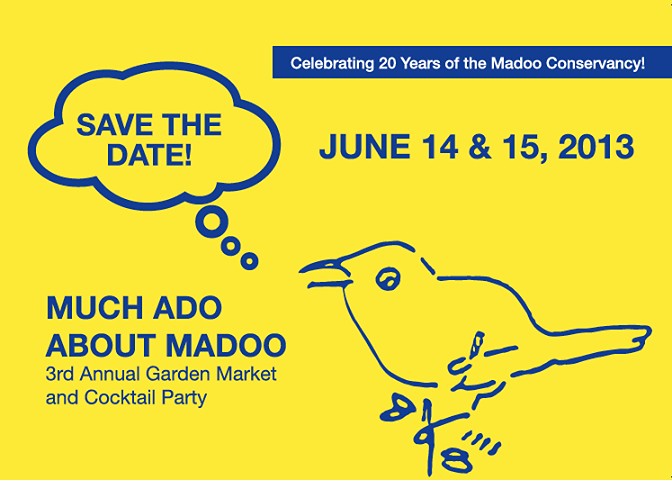 Much Ado About Madoo