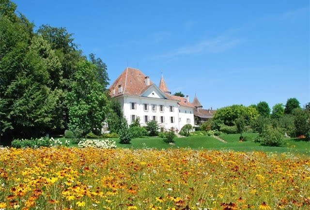 16th Century Castle