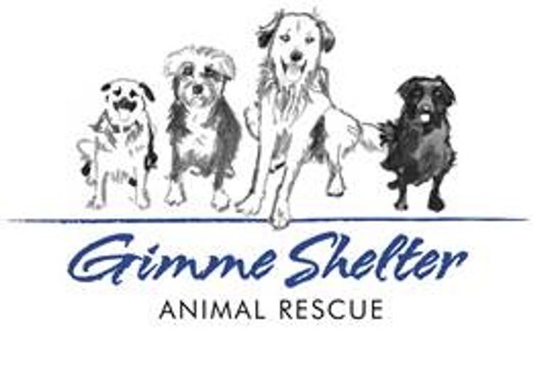 Gimme Shelter Animal Rescue
