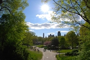 Central Park: Views From The Past