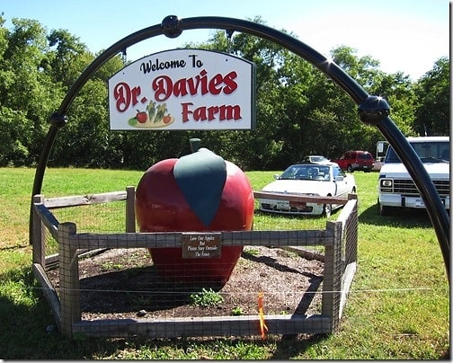 Dr. Davies Farm