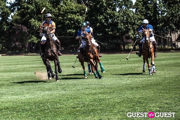 Polo Team