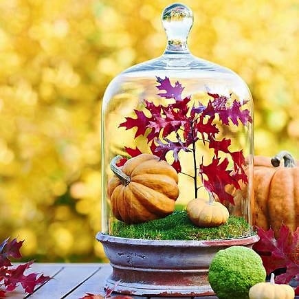 Fall In A Jar