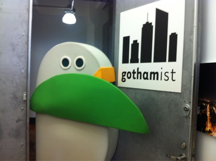 Gothamist Bird 