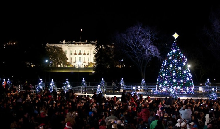 national-christmas-tree-lighting-ceremony