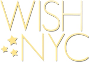 Wish NYC: A Toast to Wishes 2013 at Marquee 