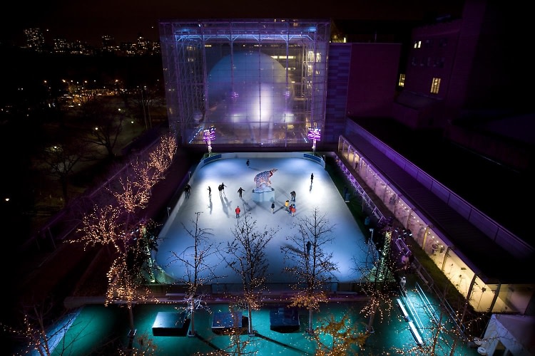 The Polar Rink at the American Museum of Natural History
