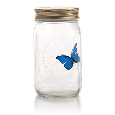 Butterfly in a Jar