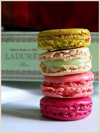 French Macaroons