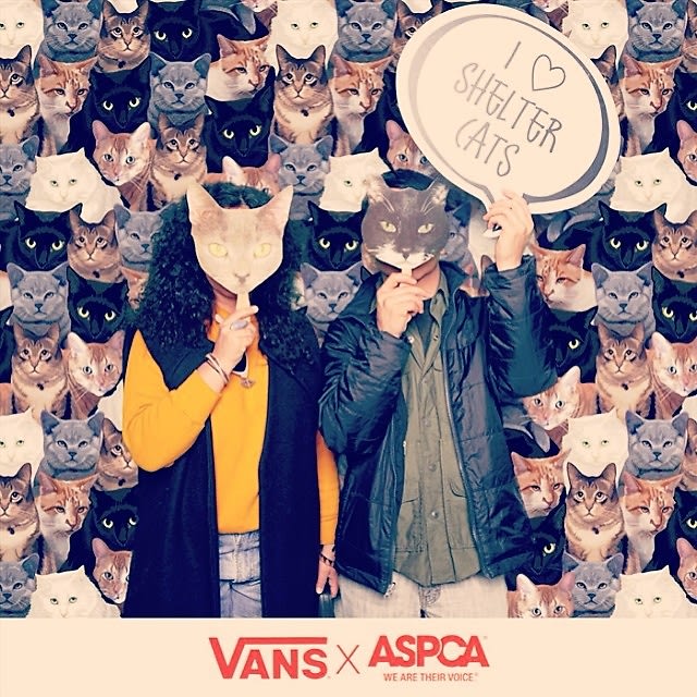 Vans X ASPCA Adoption Event
