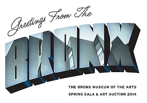 Bronx Museum Spring Gala