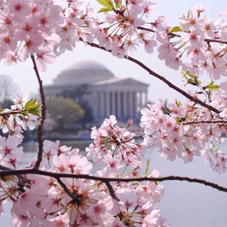 Spring Weekened Spring Weekend Getaway Guide: 7 Quick Trips To Take Near NYC