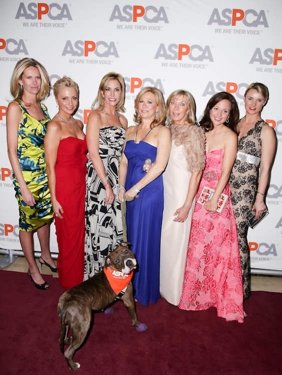 ASPCA Hosts the 17th Annual Bergh Ball Gala