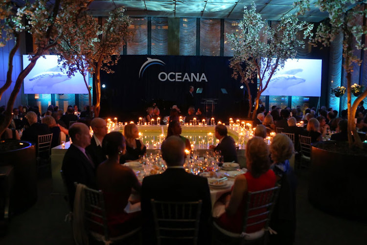 Oceana 2014 Gala Honoring Michael R. Bloomberg 