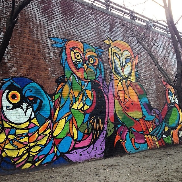 nyc owl graffiti