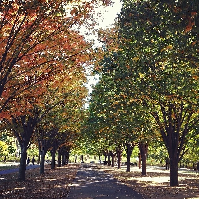 Soundview Park