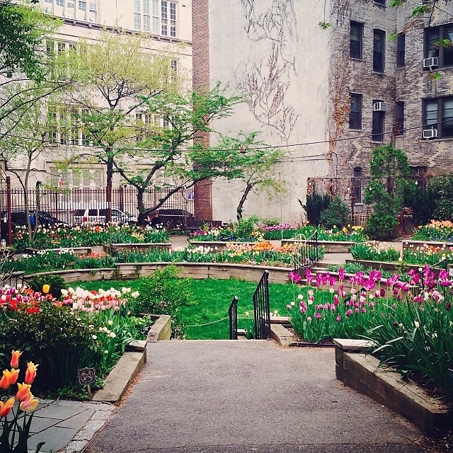 Summer Strolls 10 Nyc Gardens You Probably Didn T Know About