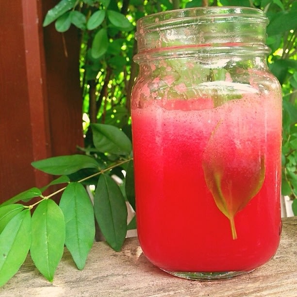 Watermelon-Basil Gin Refresher