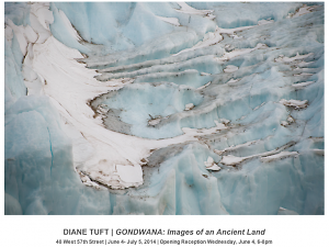 Diana Tuft's "Gondwana: Images of an Ancient Land"