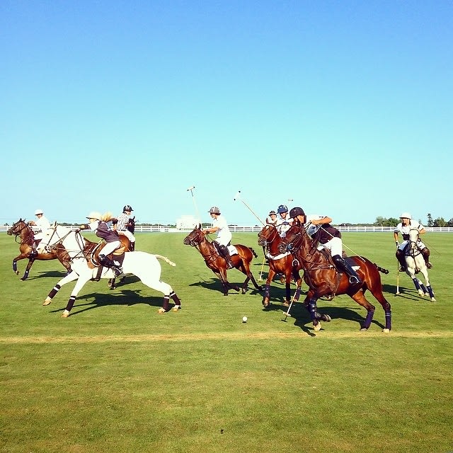 Piaget polo cup