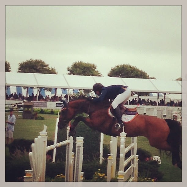 hamptons classic horse show