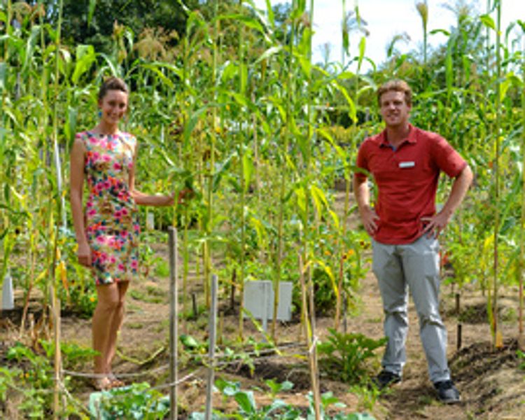 Annie Novak, Toby Adams