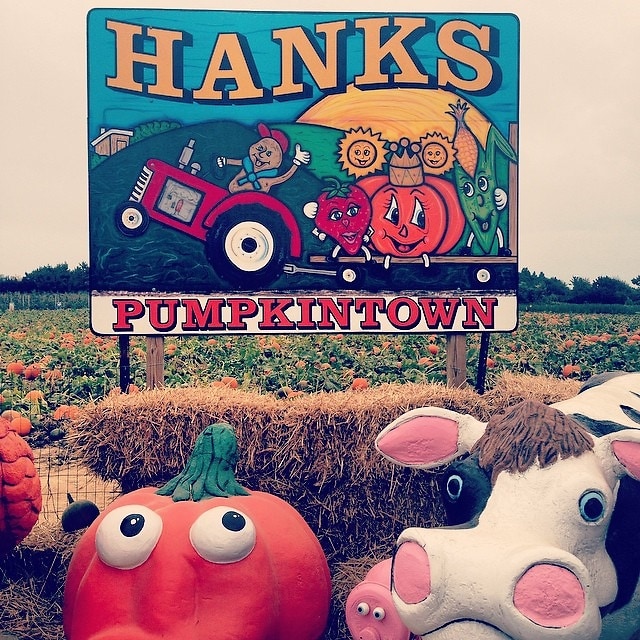 Hanks Pumpkin Town