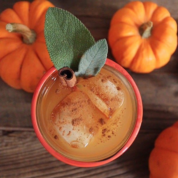 spiced-pumpkin-punch